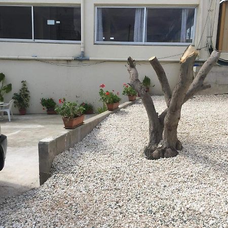 Ellenapa Apts & Studios Ajía Nápa Eksteriør bilde
